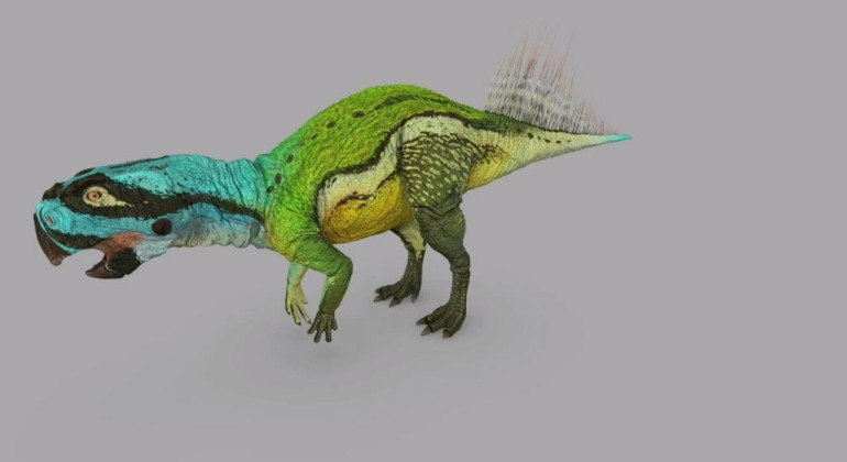 Dinasaur skeleton, egg seized from China house