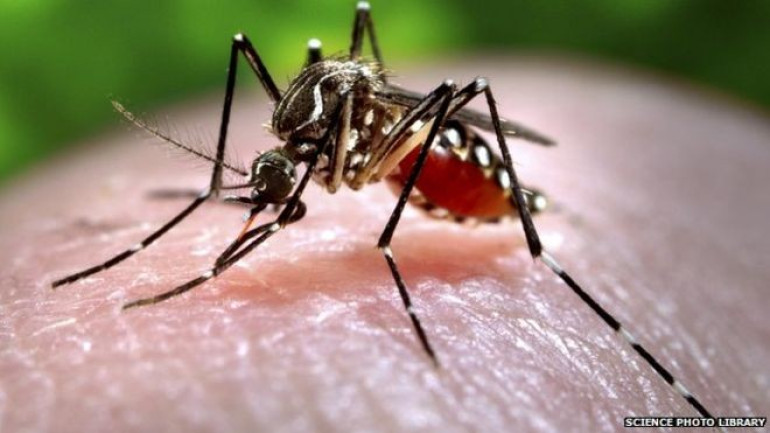 Insecticide coating effective against mosquitoes