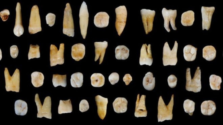 Fossil teeth place reveals humans’ presence in Asia '20,000 years early'