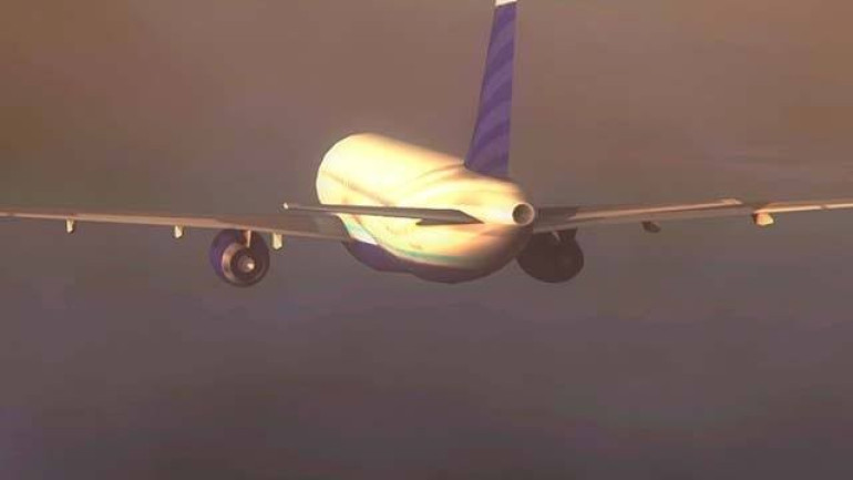 Ռուսական Airbus 321 օդանավի կործանման վայրում հայտնաբերվել են «սև արկղերը»