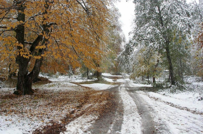 Սևանում, Մարտունիում և Վարդենյաց լեռնանցքում ձյուն է տեղում