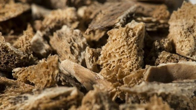 Neutron beam aimed at 'un-burning' bone