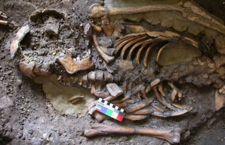 Genetics uncover Europe’s fourth ancestral tribe