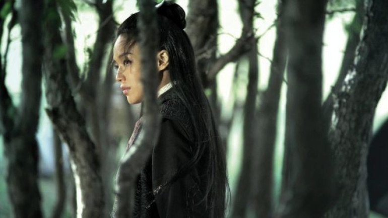 Martial arts film The Assassin the best of 2015