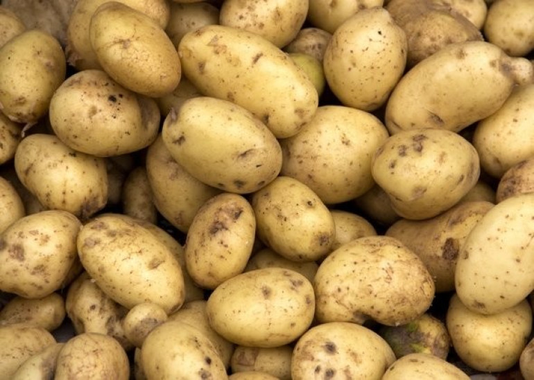 NASA wants to create potatoes on Mars