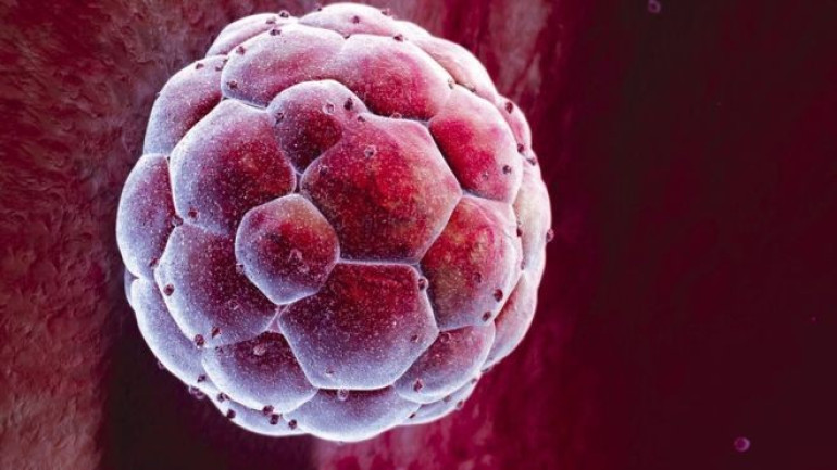 Gene editing gets go-ahead in UK