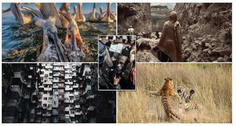 The wonders of our world: Breathtaking photos reveal stunning diversity of the planet in the Smithsonian photo contest