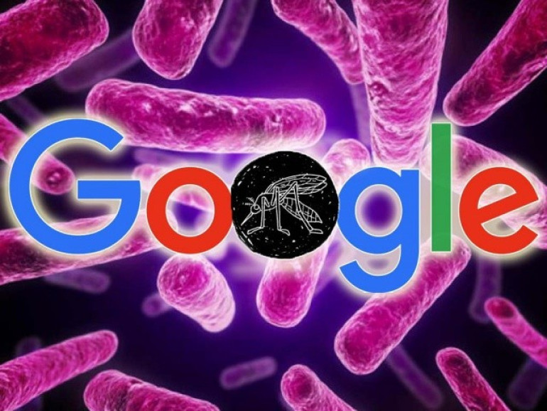 Google пожертвует $1 млн на борьбу с вирусом Зика