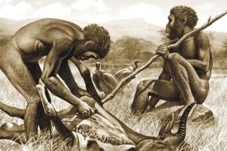 Meat eating accelerated face evolution, study finds