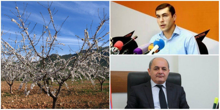 17-19-ին հանրապետության հովտային հատվածներում ակնկալվում է  ցրտահարություն, հնարավոր է այն կրկնվի նաև մարտի 21-ին