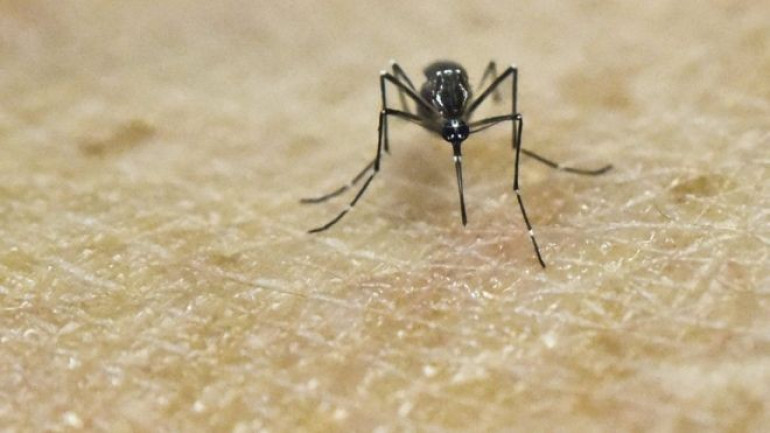 Zika virus scarier than thought, US says