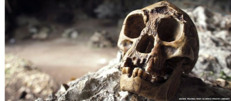 Unearthed hobbit fossils show tiny humans shrank 'rapidly'