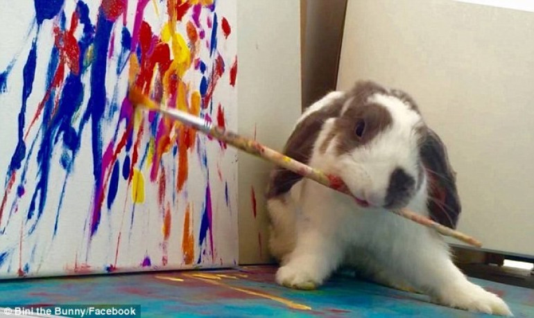 The rabbit renaissance! Talented bunny creates colourful masterpieces without any guidance from owner