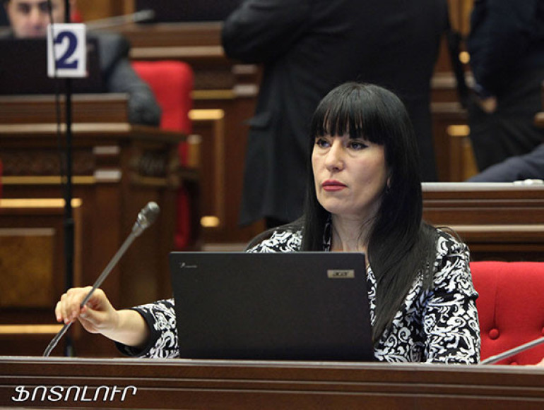 Funds for reforms of Armenia’s election law available - MP