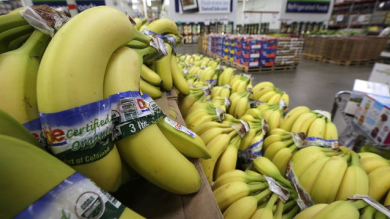 Devastating plant fungus may eradicate bananas within five years
 