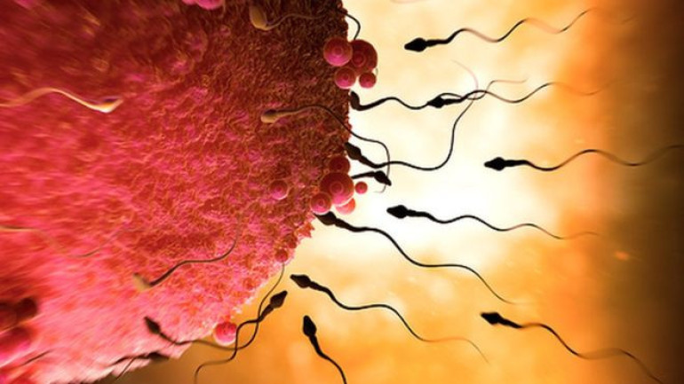 Making babies without eggs may be possible, say scientists