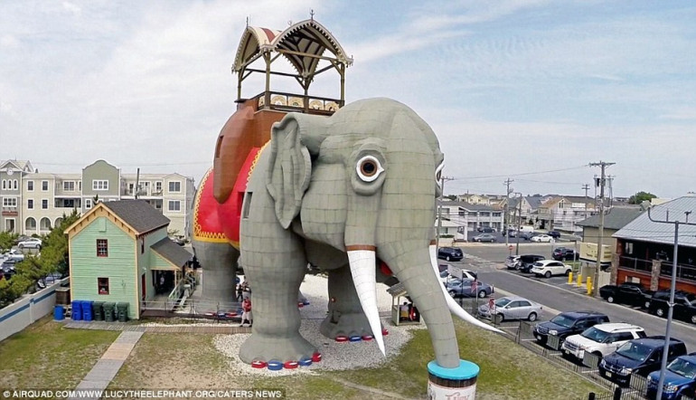 Animal house! Buildings around the world made to look like all sorts of creatures from cats to koalas 