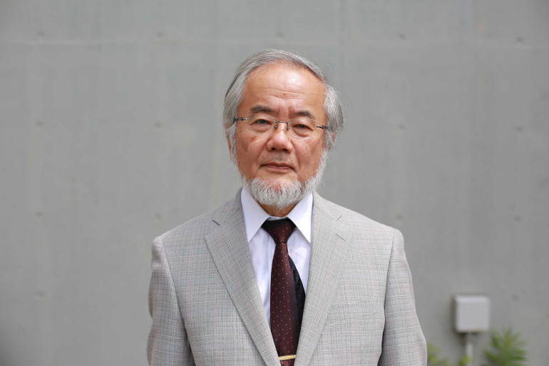 Yoshinori Ohsumi gets Nobel medicine prize