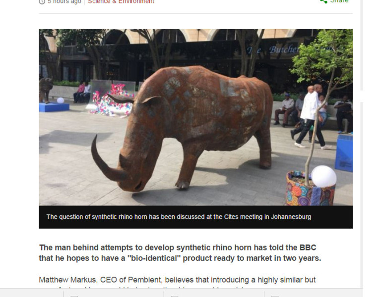 Synthetic rhino horn ready 'in two years', says inventor