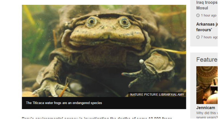 Peru investigating death of 10,000 frogs