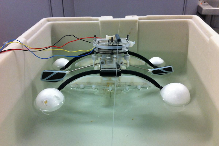 Soft robot with mouth and gut can forage for its own food