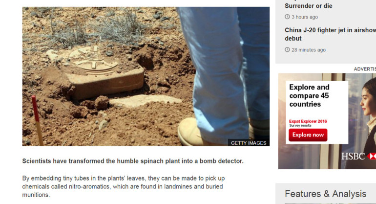 'Bionic' plants can detect explosives