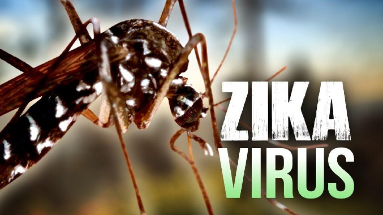 Zika therapy 'works in the womb'
