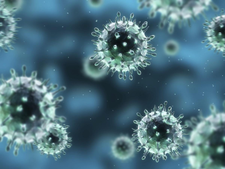 'First flu' affects lifetime risk