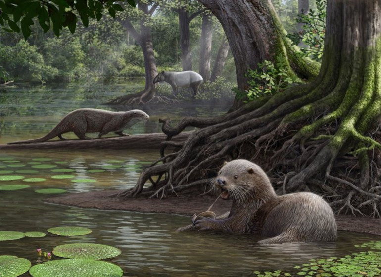 6 million years ago, otters the size of wolves roamed China’s wetlands