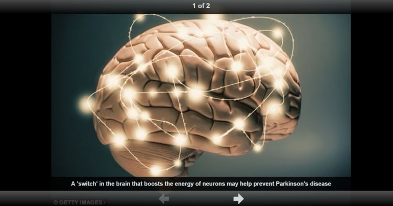 Scientists discover key gene that stops Parkinson’s disease