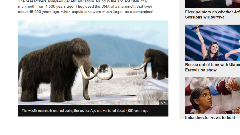 DNA clues to why woolly mammoth died out