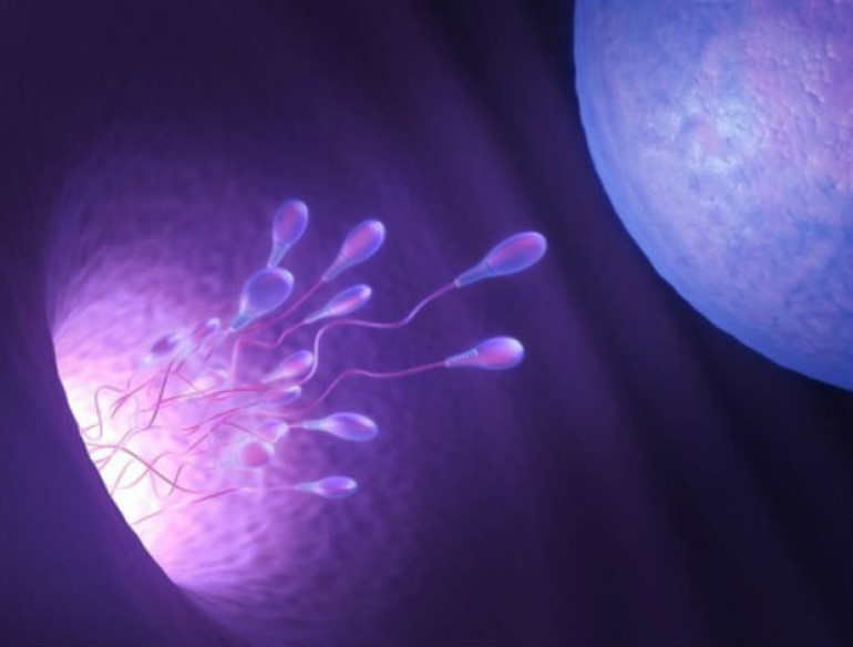 Smartphone device can test sperm quality

 