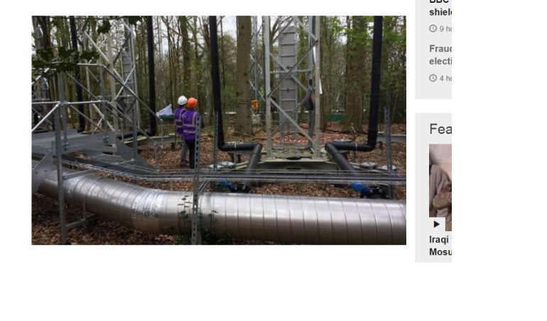 Sci-fi forest tracks carbon impact