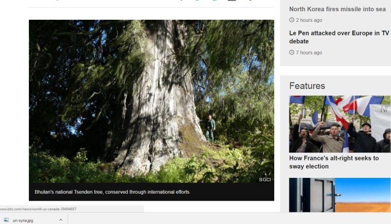 World home to '60,000 tree species'