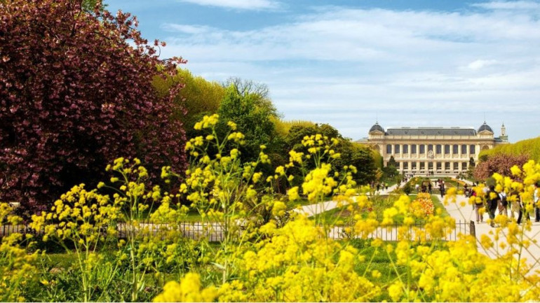 Rare flowers destroyed in Australia after paperwork error