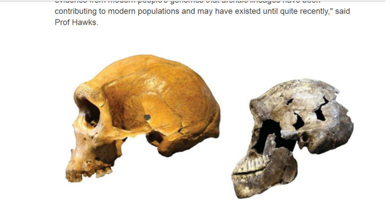 Amazing haul of ancient human finds unveiled