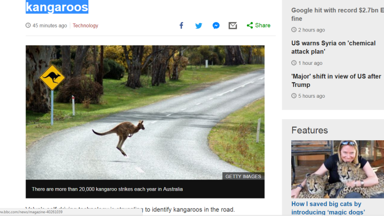 Volvo's self-driving cars 'confused' by kangaroos