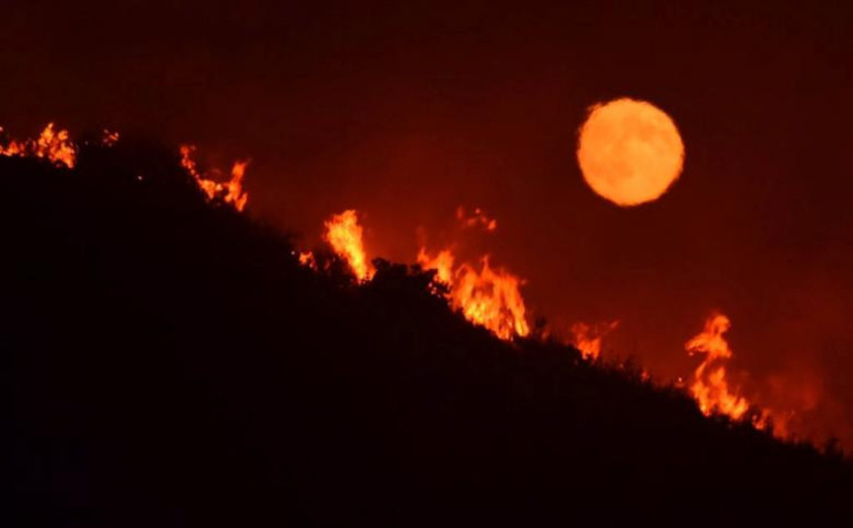 US State of California declares emergency amid wildfire (photos)