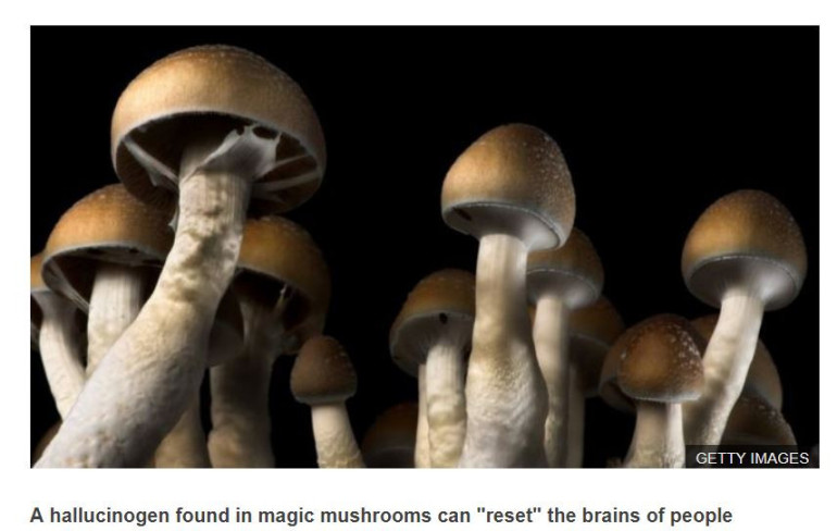 Magic mushrooms can reset untreatably depressed brain