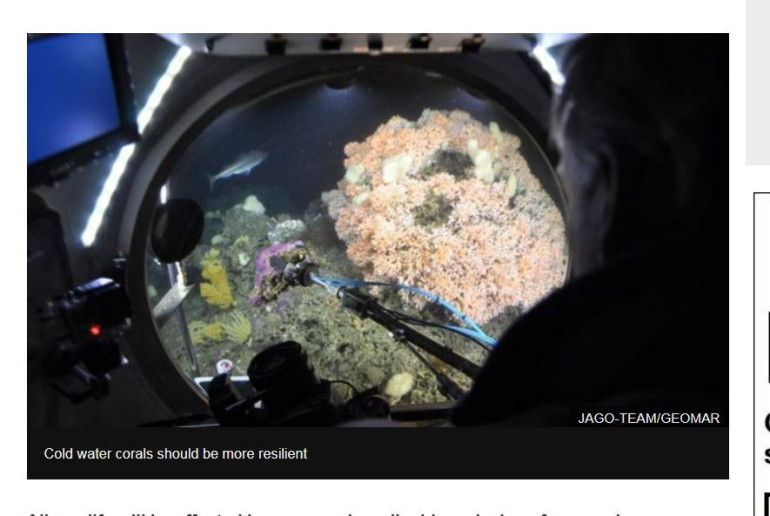 Acidic oceans 'will affect sea life'