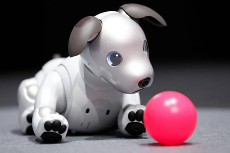 Sony-ն ներկայացրել է Aibo ռոբոտ-շան նոր տարբերակը (տեսանյութ)