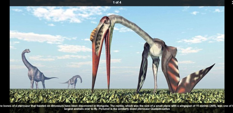 Fearsome pterosaur the size of a plane discovered in Mongolia