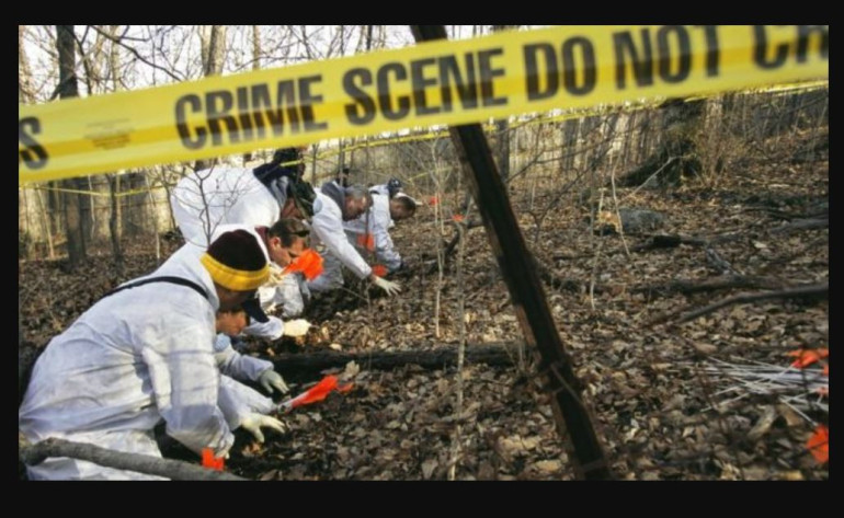 Genes remain active after death