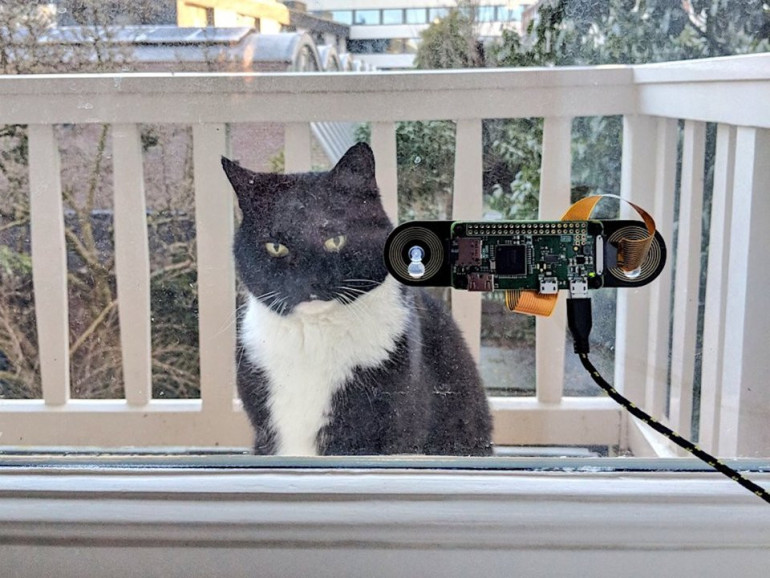 Dutch engineer builds a facial recognition gadget to notify him when his cat wants to come inside
