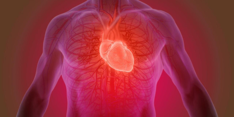 Scientists use stem cells to grow a beating human heart muscle for the first time ever
