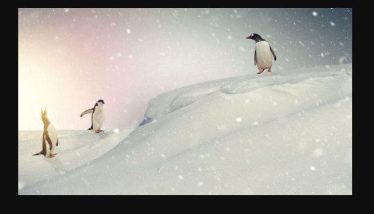 Big increase in Antarctic snowfall observed