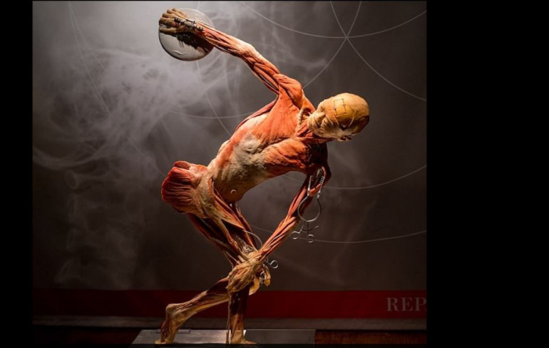 Chinese exhibition is accused of using the corpses of executed Chinese political prisoners in its shocking ‘real bodies’ display