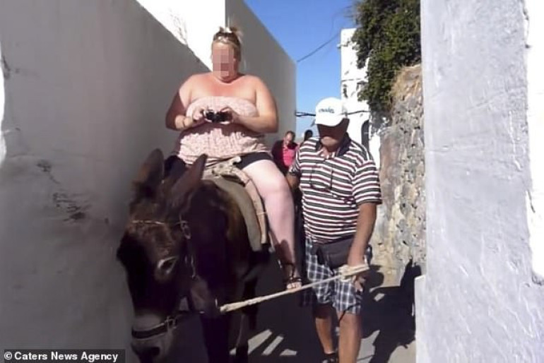 Greece bans obese tourists from riding donkeys after animal rights activists shed light on abuse