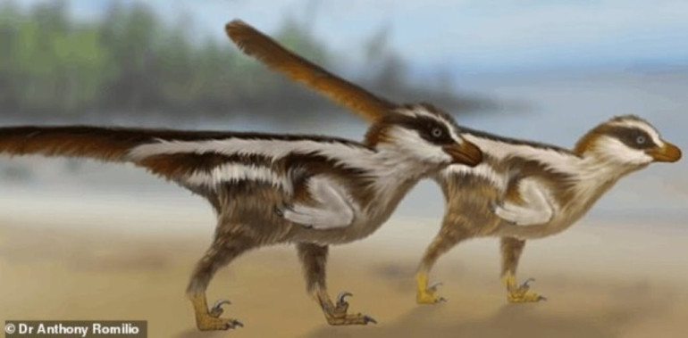 World's smallest dinosaur: 110 million-year-old footprints found in South Korea belong to a sparrow-sized raptor that could fit in the palm of your hand