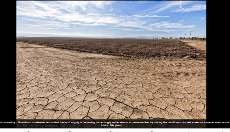 Scientists warn the world's food systems are 'failing us' as emissions speed up climate change and put crops at greater risk from extreme weather